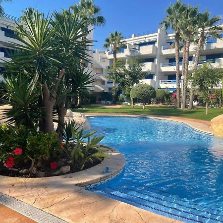 Appartamento Coral House - La Calma - Playa Flamenca - Big Terrace & 4 Swimming Pools. Esterno foto