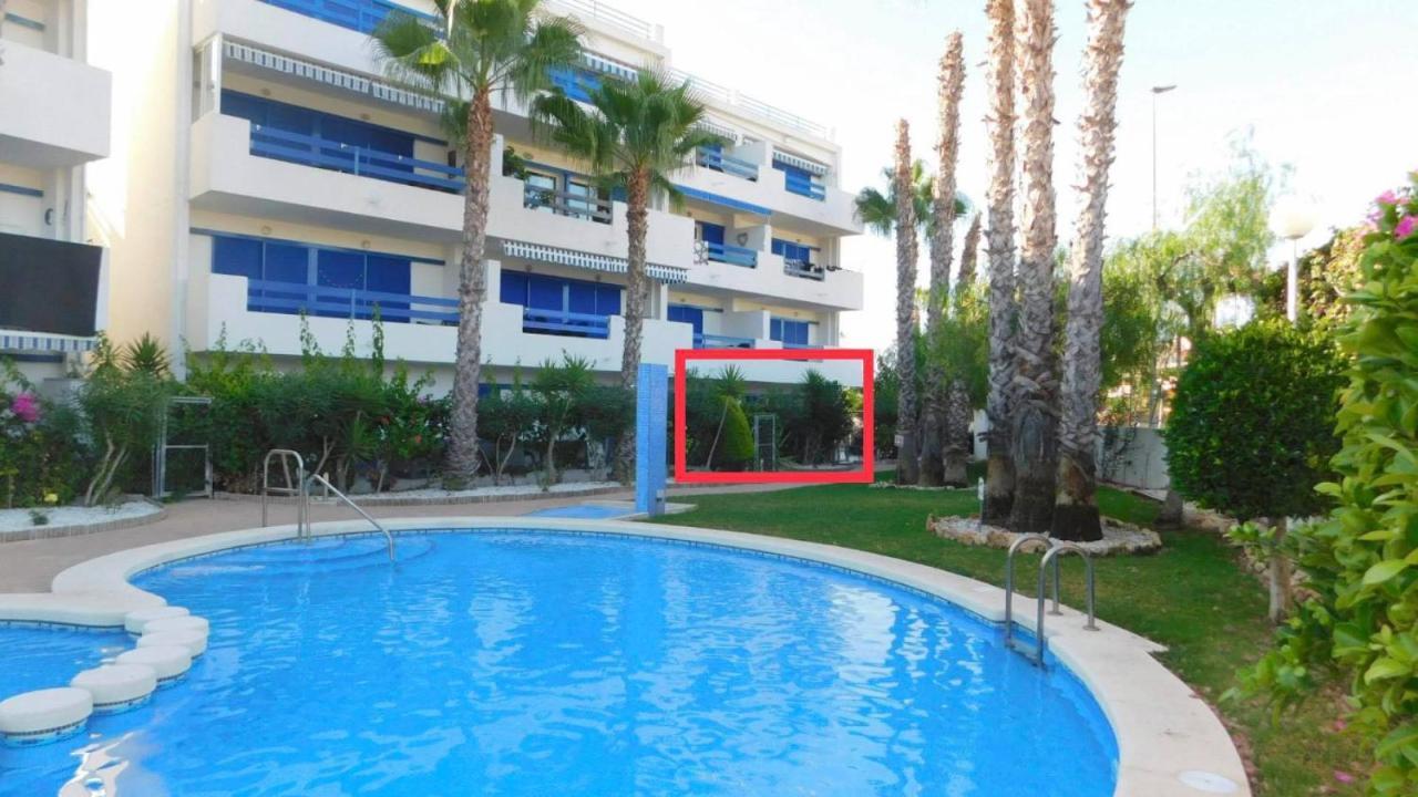 Appartamento Coral House - La Calma - Playa Flamenca - Big Terrace & 4 Swimming Pools. Esterno foto