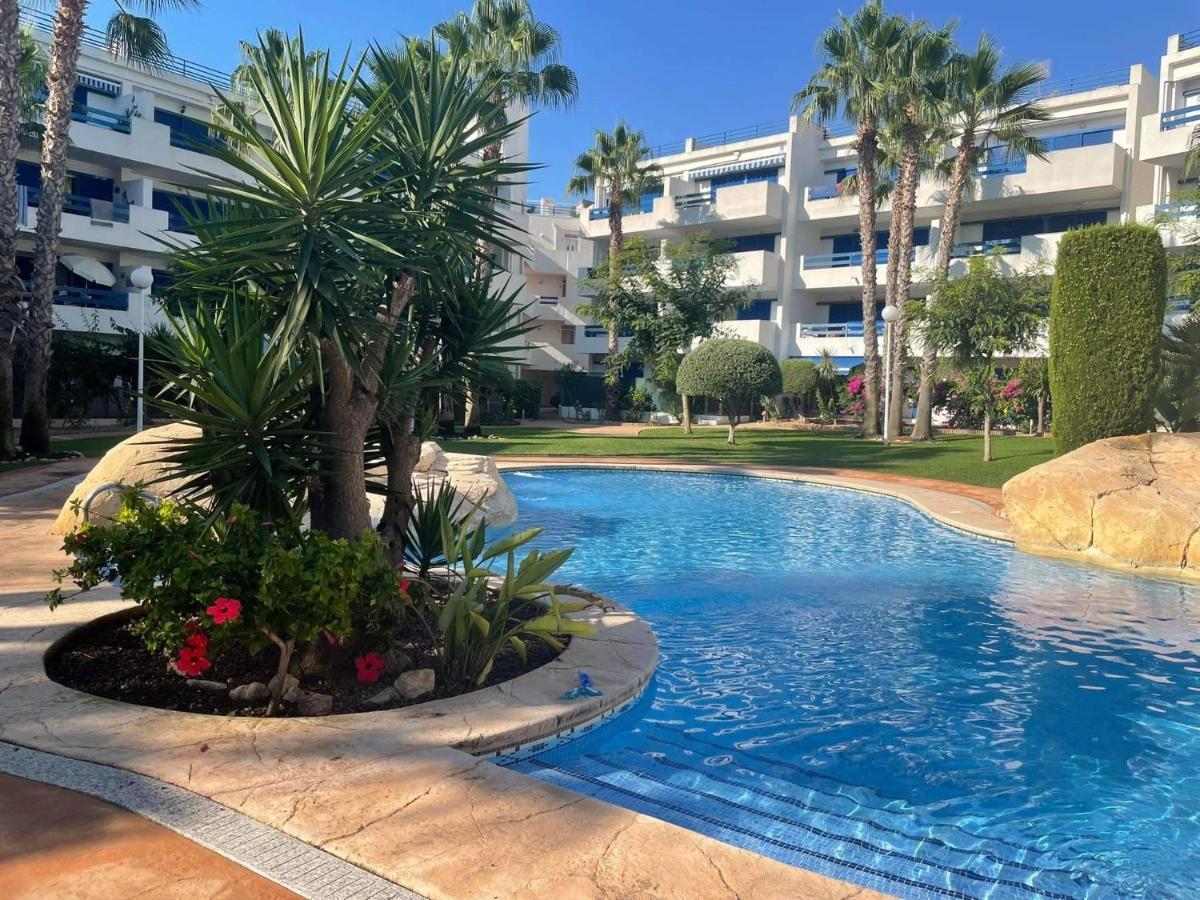 Appartamento Coral House - La Calma - Playa Flamenca - Big Terrace & 4 Swimming Pools. Esterno foto